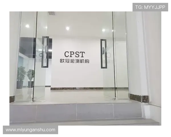 Kaiyun开云旗舰厅登录线路稳定可靠安全保障全面解析