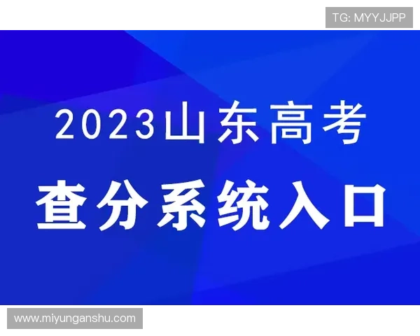 问鼎官网登录入口安全登录技巧与风险防范措施介绍 问鼎官网登录入口安全登录技巧与风险防范措施介绍